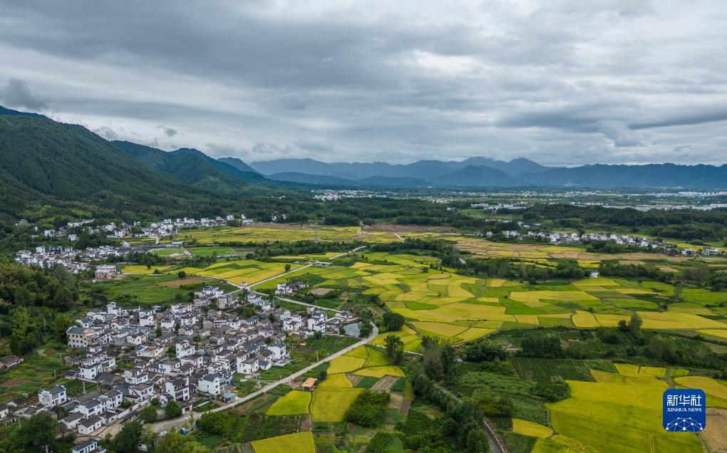 巴黎人备用网